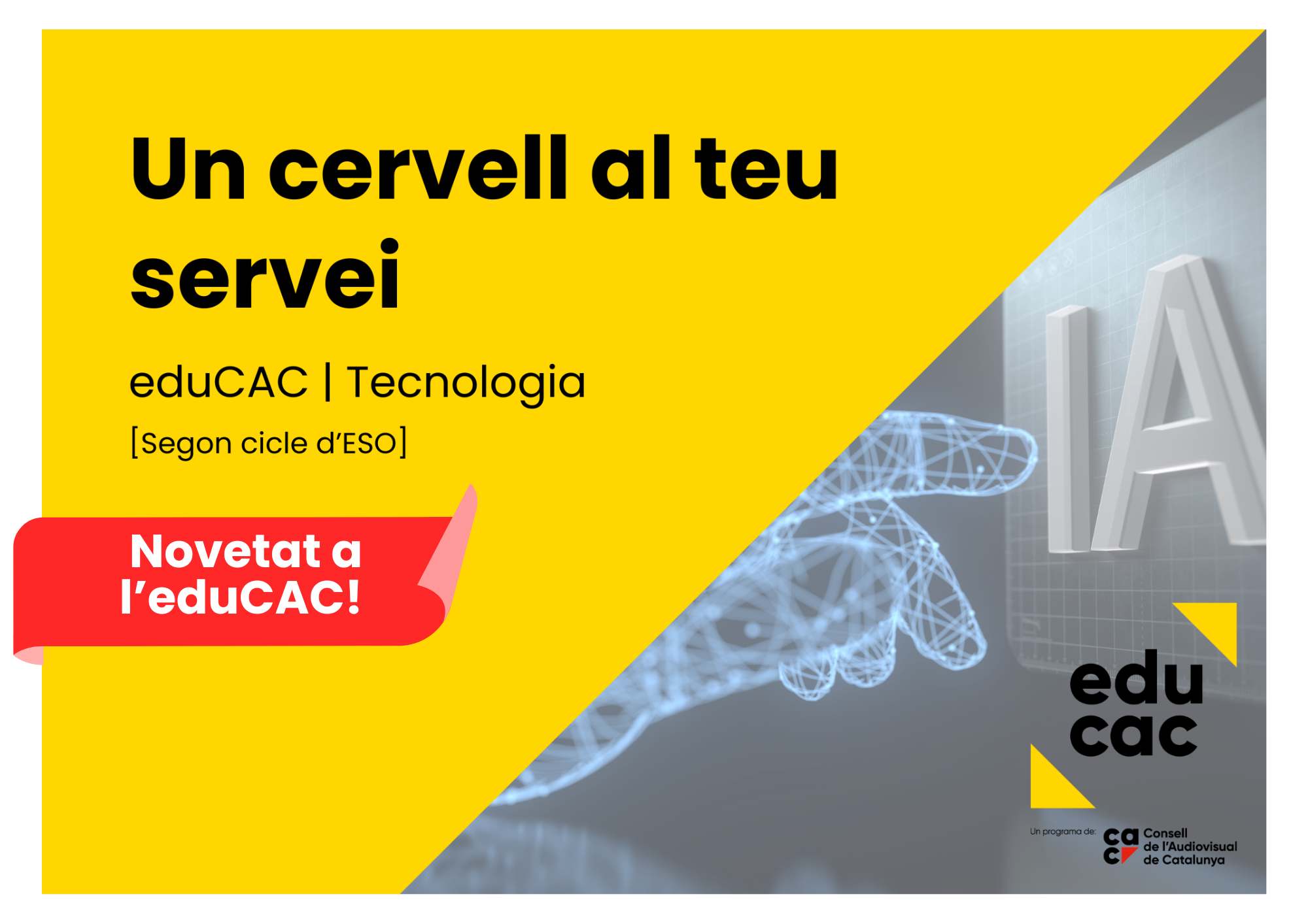 IMATGE UN CERVELL AL TEU SERVEI