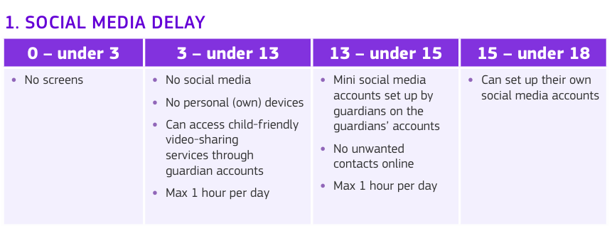 Social Media Delay de les XXSS