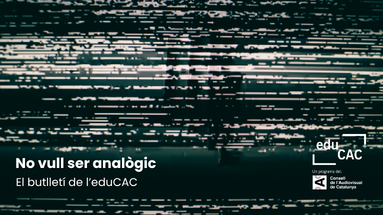 neu en pantalla de televisió analògica 
