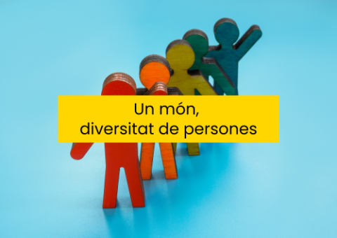 diversitat 1 portada completa