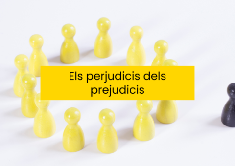 portada diversitat 2 completa