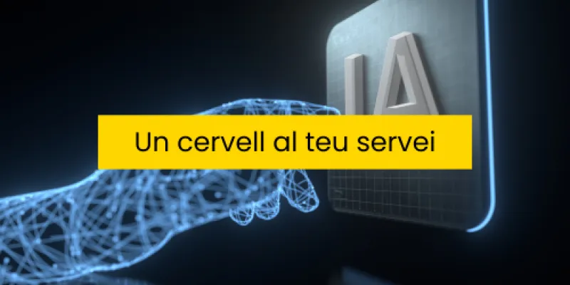 un cervell al teu servei 